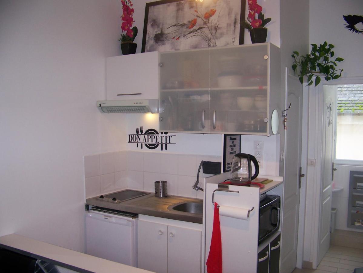 Charmant Studio Au Calme Tout Confort Dans Chateau Neo Gothique Proche Zenith Comet Orleans Parking Voiture Gratuit Wifi Haut Debit Rue Des Montees Bagian luar foto