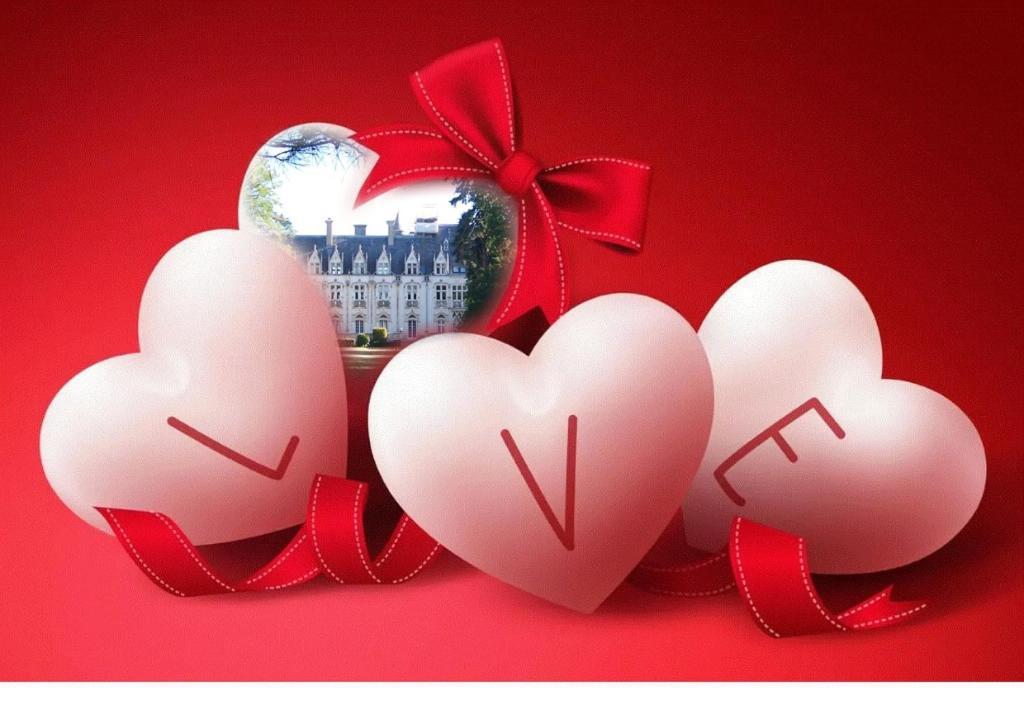 Charmant Studio Au Calme Tout Confort Dans Chateau Neo Gothique Proche Zenith Comet Orleans Parking Voiture Gratuit Wifi Haut Debit Rue Des Montees Bagian luar foto