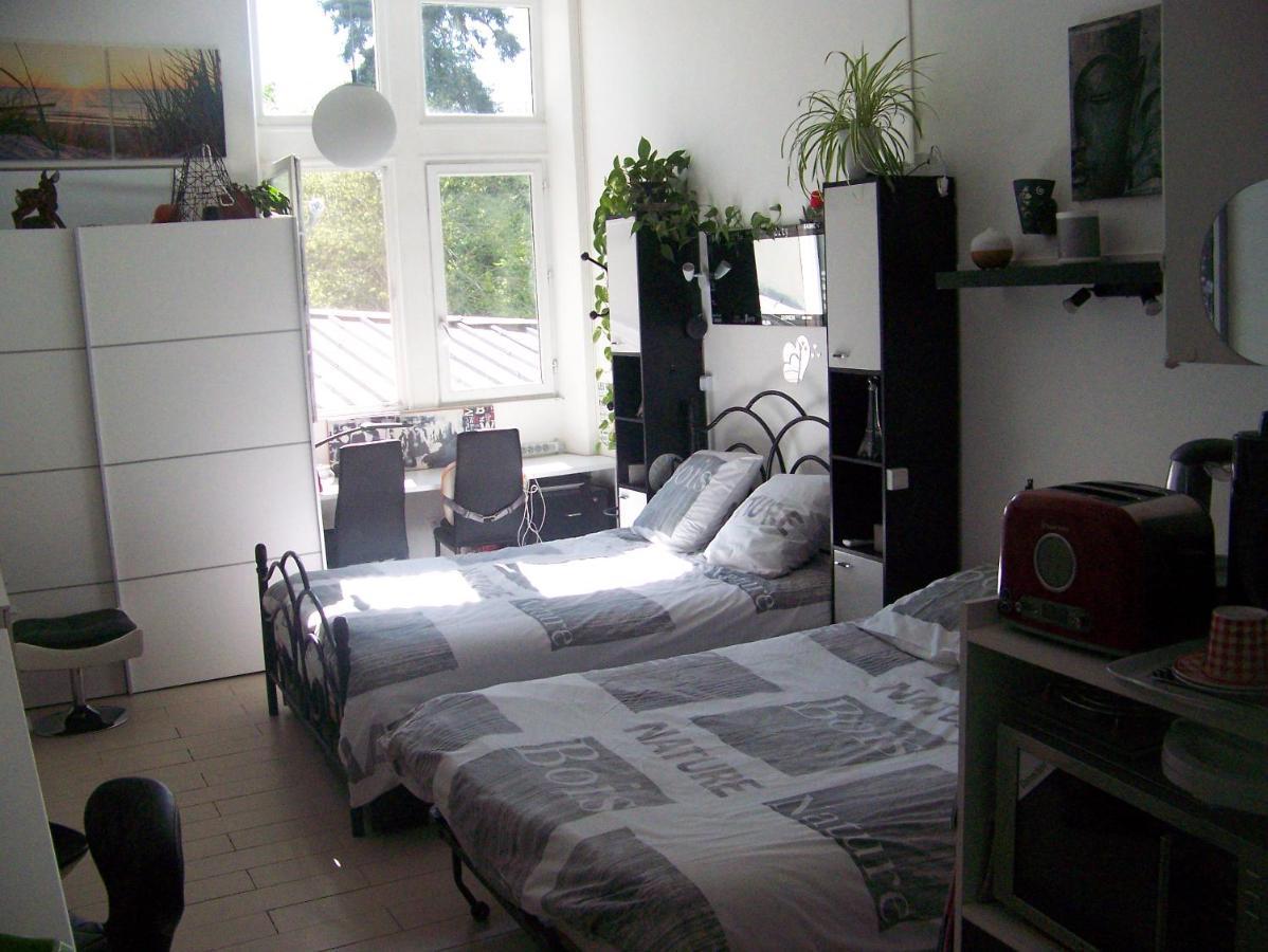 Charmant Studio Au Calme Tout Confort Dans Chateau Neo Gothique Proche Zenith Comet Orleans Parking Voiture Gratuit Wifi Haut Debit Rue Des Montees Bagian luar foto