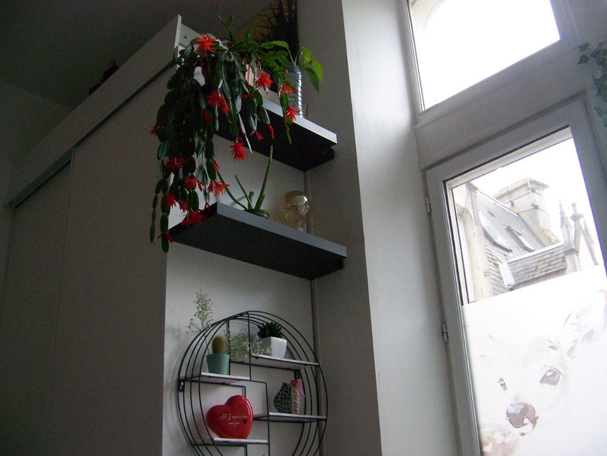 Charmant Studio Au Calme Tout Confort Dans Chateau Neo Gothique Proche Zenith Comet Orleans Parking Voiture Gratuit Wifi Haut Debit Rue Des Montees Bagian luar foto